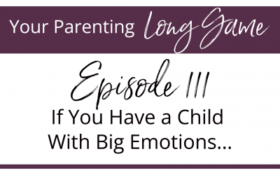 If You Have A Child With Big Emotions – Episode 111